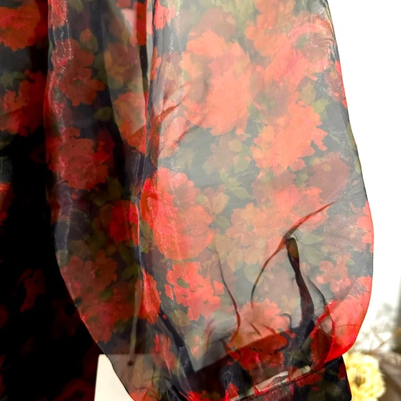 ♥️ Blashe Sheer Dramatic Floral Puff Sleeve Blouse - Picture 9 of 10